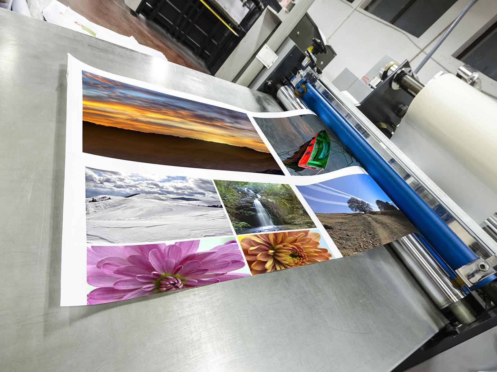 Paper Press Printing Services